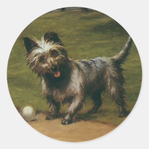 Sticker Rond Animaux vintage chiens, chiot adorable Scottish Te