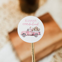 Anniversaire 1 an Winter Onederland Animaux de la