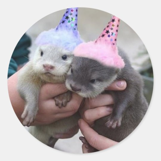 Sticker Rond Anniversaire De Loutre Zazzle Fr