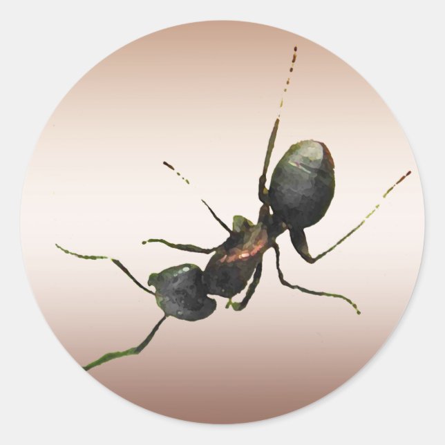 Sticker Rond Ant (Devant)