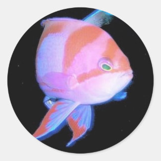 Sticker Rond Anthias