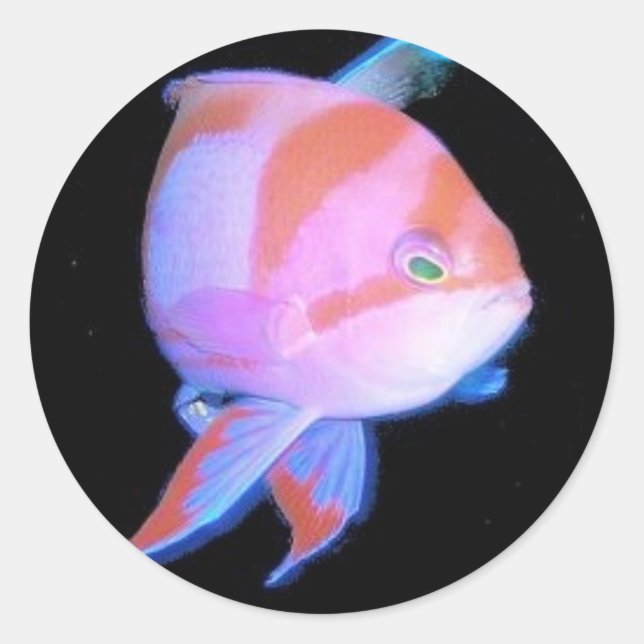 Sticker Rond Anthias (Devant)