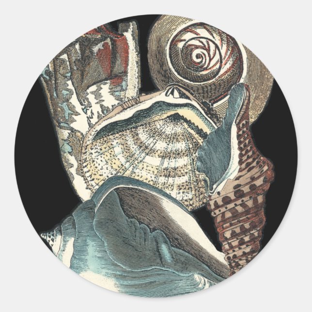 Sticker Rond Anthologie des coquillages (Devant)