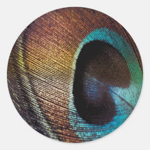 Sticker Rond Antique Hues Peacock Feather Eye