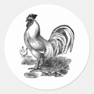 Sticker Rond Antique Imprimer Cockerel Vintage coq au coq au co