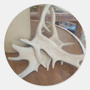 Sticker Rond Antlers sur écran