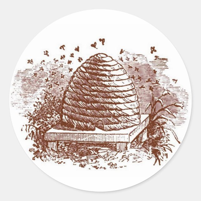 Sticker Rond Apiculture vintage (Devant)