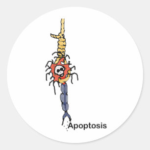 Sticker Rond Apoptose