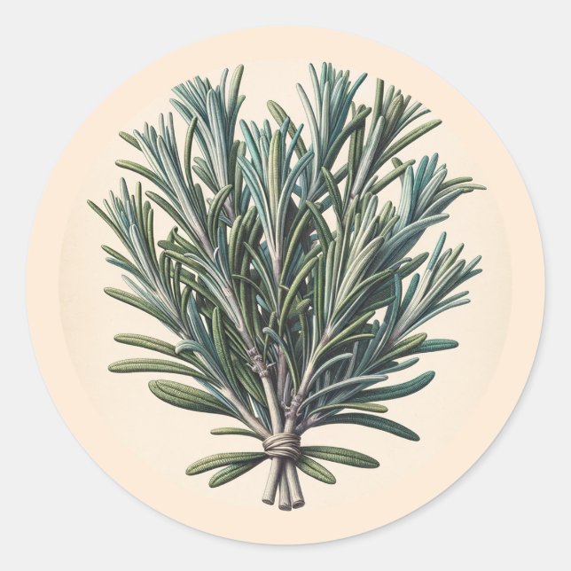 Sticker Rond Apothicaire de plantes botaniques vintage Rosemary (Devant)