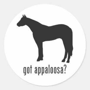 Sticker Rond Appaloosa
