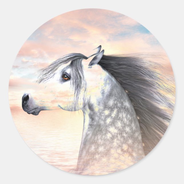 Sticker Rond Appaloosa (Devant)