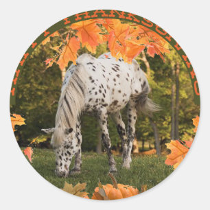 Sticker Rond Appaloosa Thanksgiving