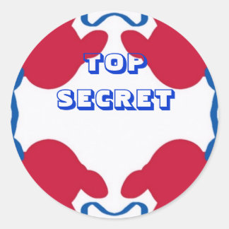 STICKER ROND APPAREIL SECRET TOP
