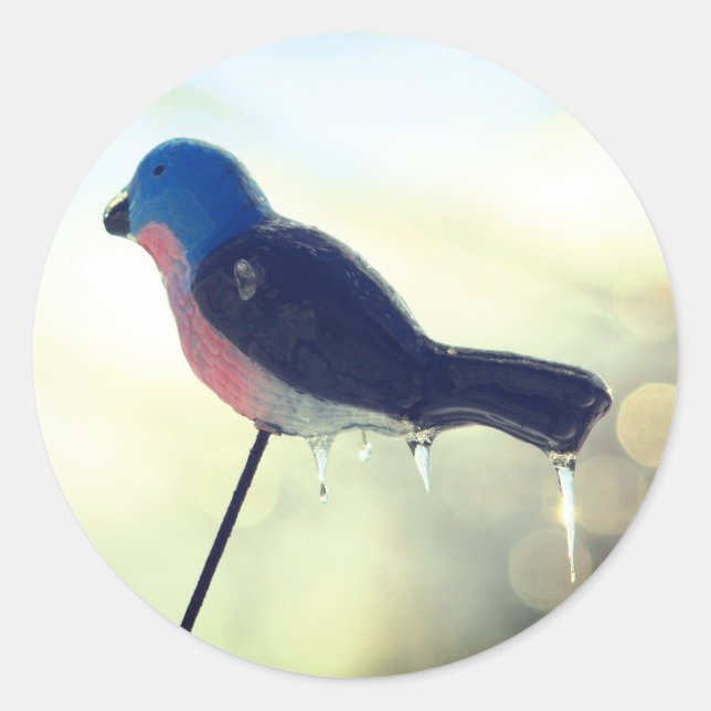 Sticker Rond Après la tempête Nature hivernale (Devant)