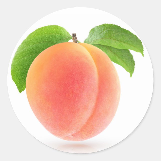 Sticker Rond Apricot rose (Devant)