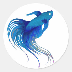 Sticker Rond Aquarelle bleu Betta Fish