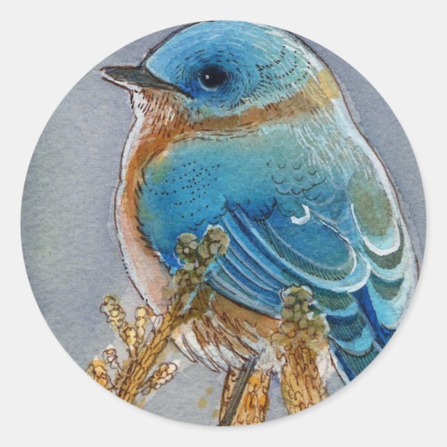 Sticker Rond Aquarelle Bluebird (Devant)