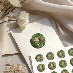 Sticker Rond Aquarelle Bois Ours Baby shower neutre