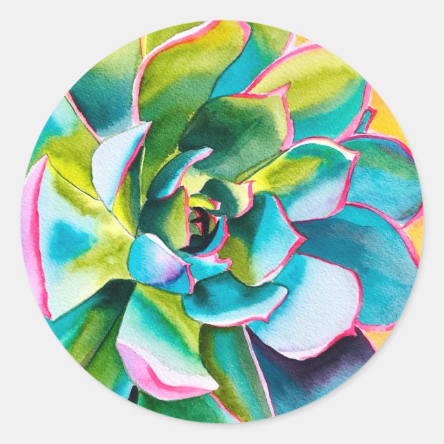 Sticker Rond Aquarelle botanique succulent (Devant)
