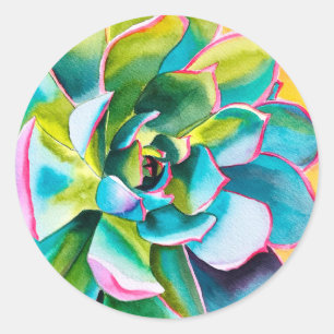 Sticker Rond Aquarelle botanique succulent
