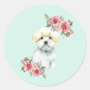 Sticker Rond Aquarelle de chien de chiot maltais mignonne