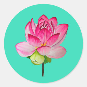 Sticker Rond Aquarelle de fleur de lotte rose art