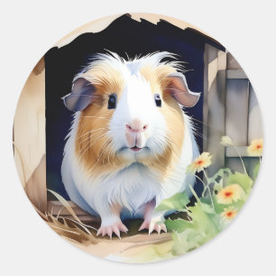 Sticker Rond Aquarelle de porc de Guinée animal mou