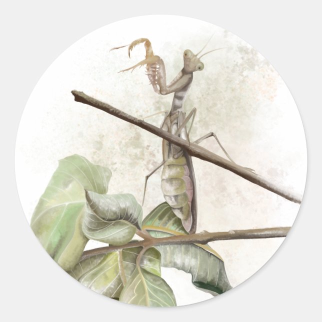 Sticker Rond Aquarelle de Pray Mantis (Devant)