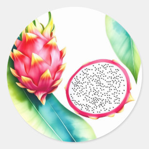 Sticker Rond Aquarelle Dragon Fruit en Gras Couleurs sur Blanc
