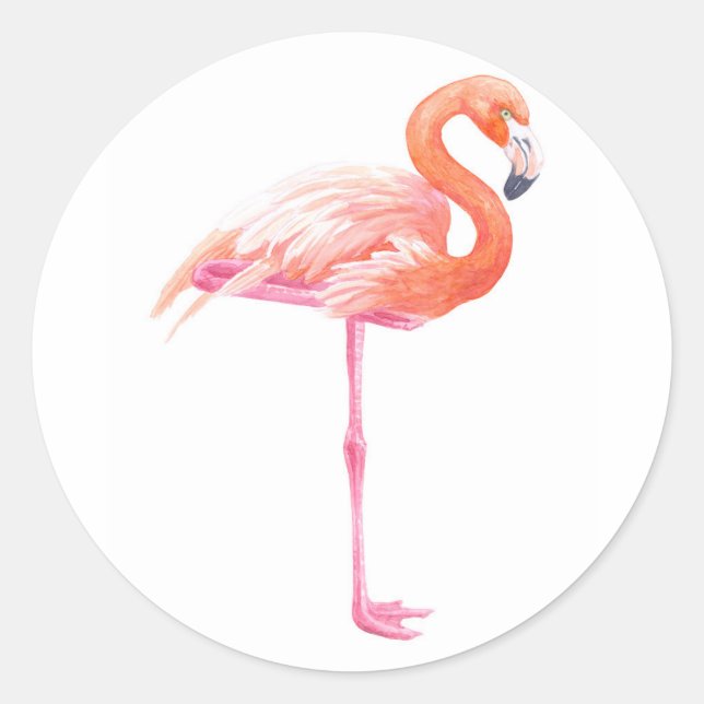 Sticker Rond aquarelle Flamant rose (Devant)