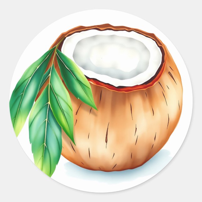 Sticker Rond Aquarelle fraîche et vive noix de coco sur blanc (Devant)