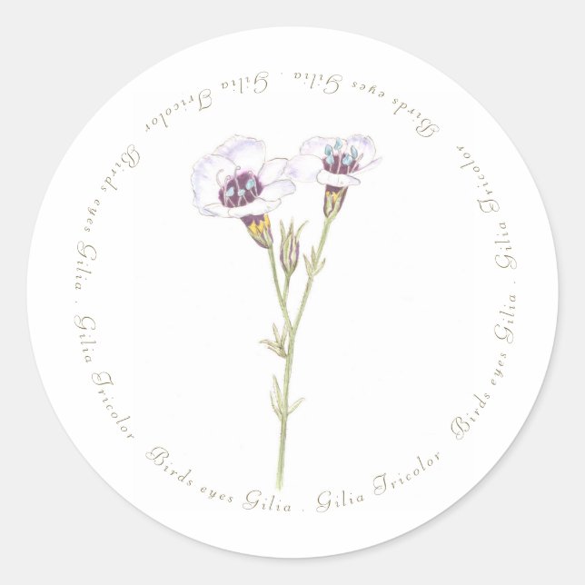 Sticker Rond Aquarelle Gilia Oiseau (Devant)
