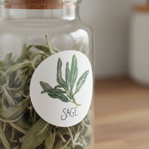Sticker Rond Aquarelle Herbe Sage