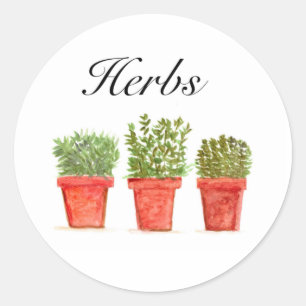 Sticker Rond Aquarelle Herbes Thyme Rosemary Oregano Pot Plante