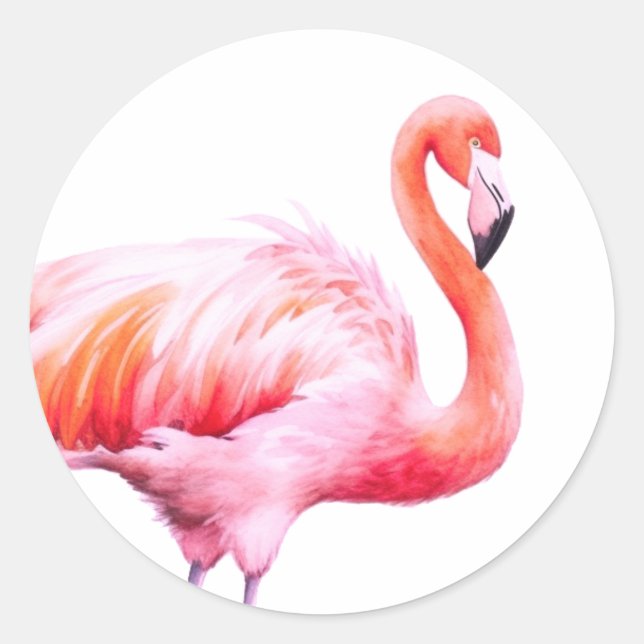 Sticker Rond Aquarelle moderne Flamant rose rose (Devant)
