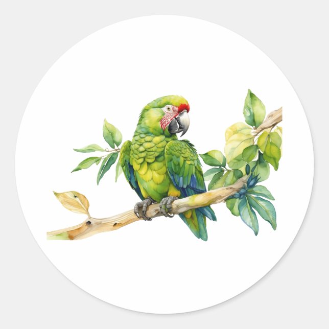 Sticker Rond Aquarelle Perroquet vert sur une branche d'arbre (Devant)