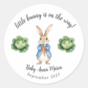 Sticker Rond Aquarelle Peter Rabbit Garden Baby shower de chou