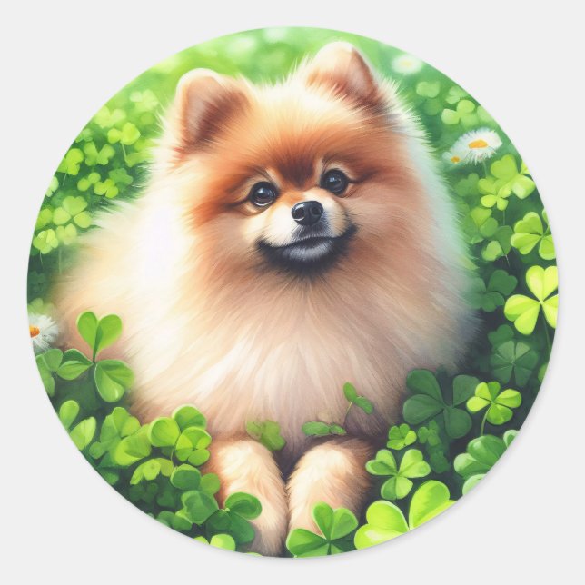 Sticker Rond Aquarelle Pomeranian Shamrock vert (Devant)