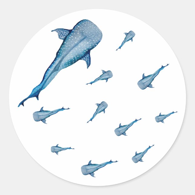 Sticker Rond Aquarelle requin (Devant)