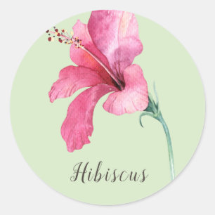 Sticker Rond Aquarelle rose Hibiscus