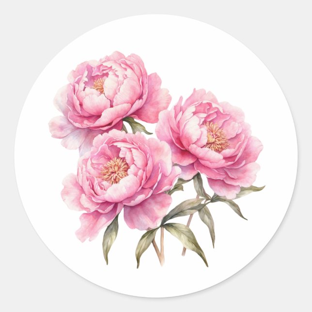 Sticker Rond Aquarelle rose pivoine Fleurs (Devant)