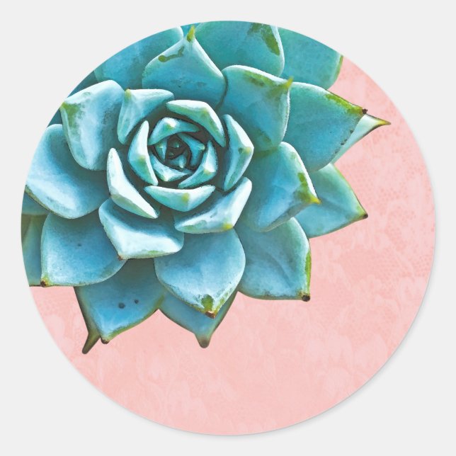 Sticker Rond Aquarelle Succulente Dentelle rose (Devant)