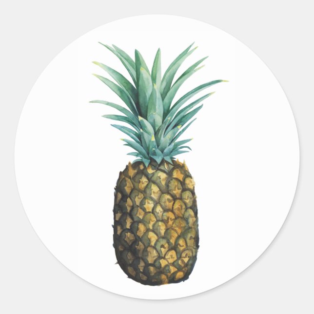 Sticker Rond Aquarelle tropicale à ananas (Devant)