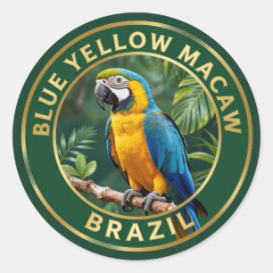 Sticker Rond 🦜 Ara bleu et jaune Brésil Oiseau tropical
