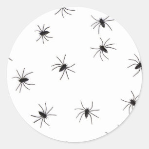 Sticker Rond araignées