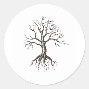 Sticker Rond Arbre