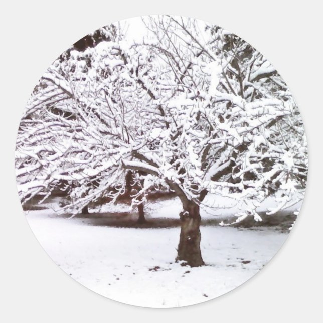 Sticker Rond Arbre à neige (Devant)