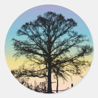 Sticker Rond Arbre au coucher du soleil