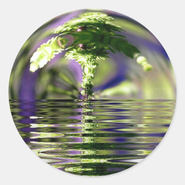 Sticker Rond Arbre bonsaï (Devant)