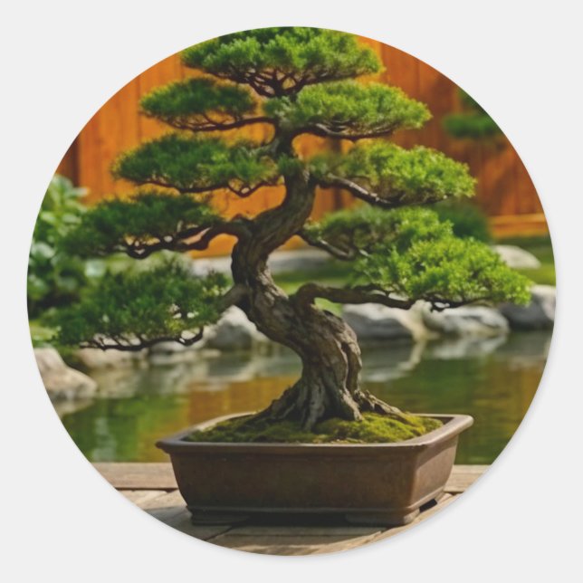 Sticker Rond Arbre Bonsaï du Dragon de l'Équilibre (Devant)
